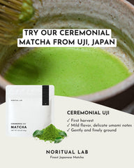 NORITUAL LAB powder close-up revealing fine emerald texture and smoothness for whisking