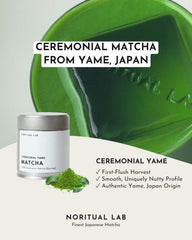 NORITUAL LAB fine matcha powder close-up showing silky texture benefit