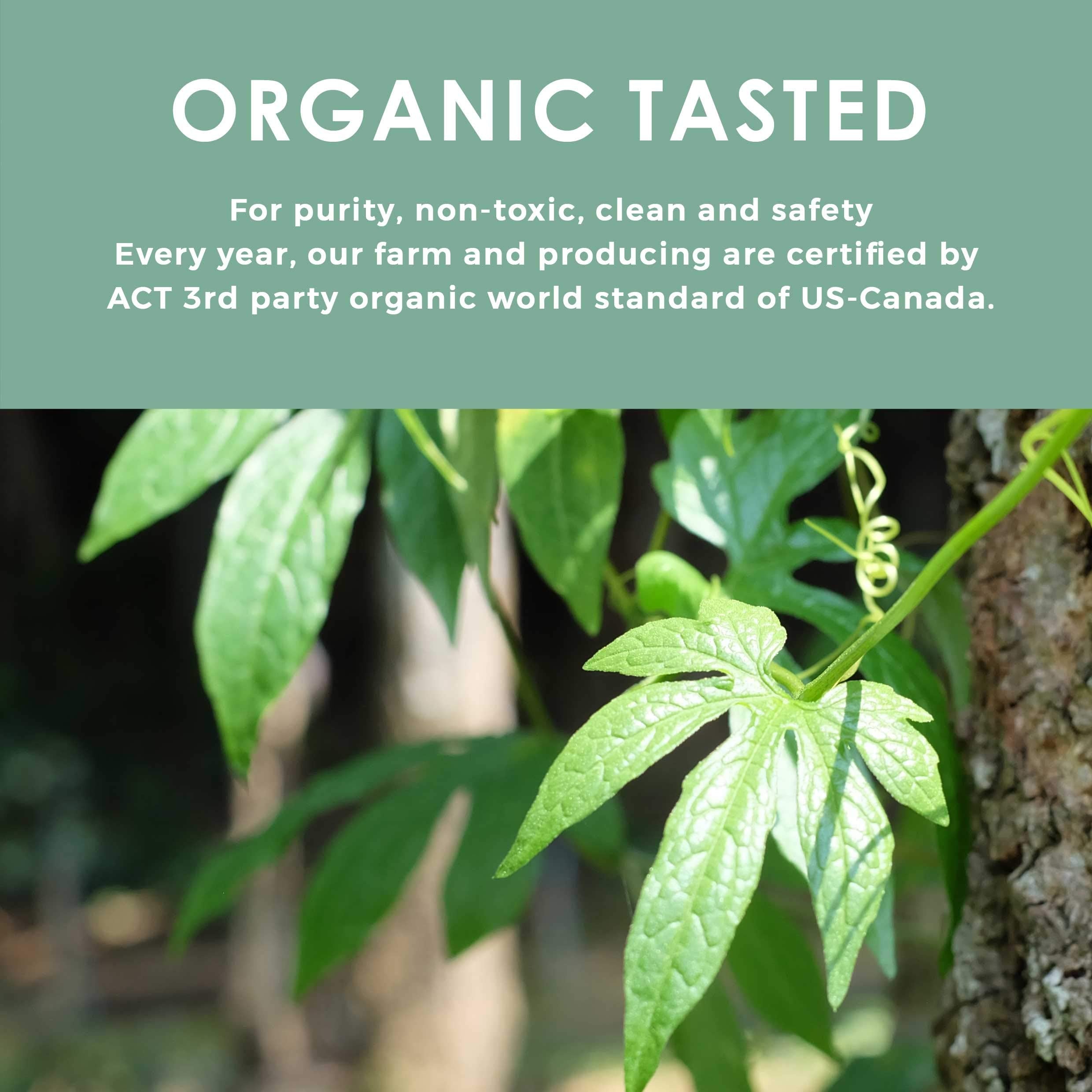 Northlandtea product label with USDA and EU organic logos showing certification trust