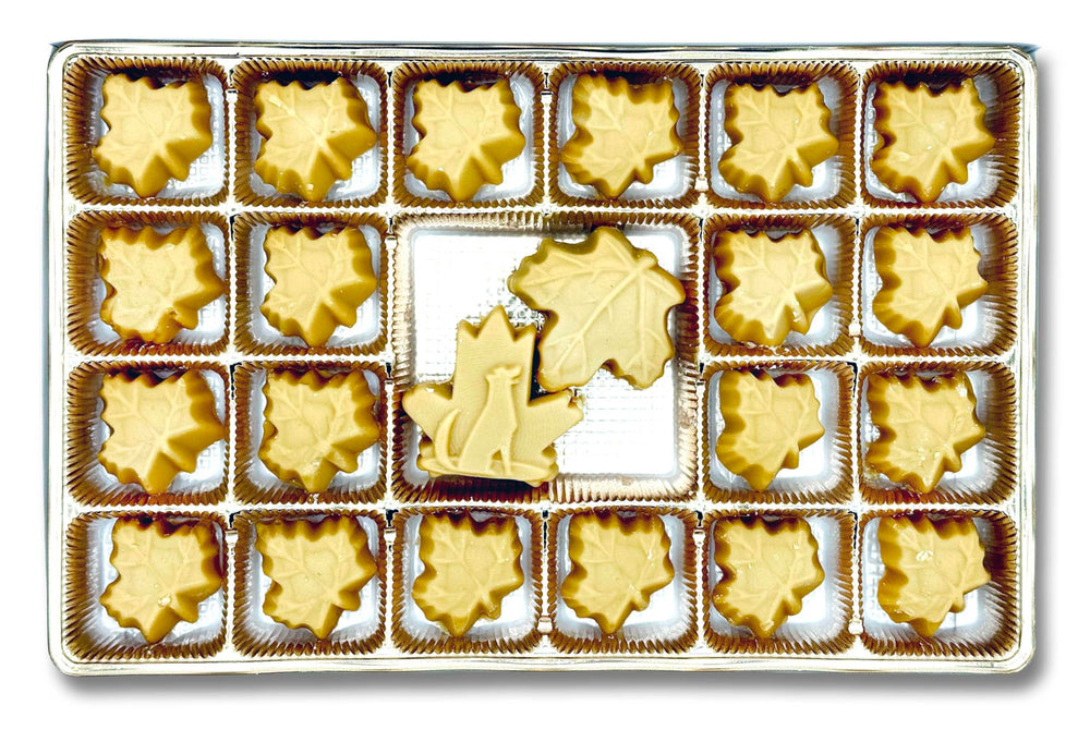 Nova Maple Syrup candy close-up of crisp texture highlighting authentic maple flavor