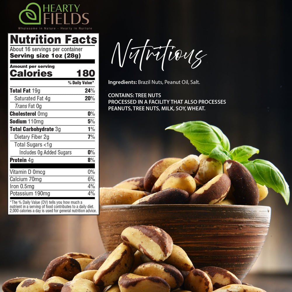 Nut Cravings Brazil nuts next to a hand to show large whole-kernel size and portion clarity