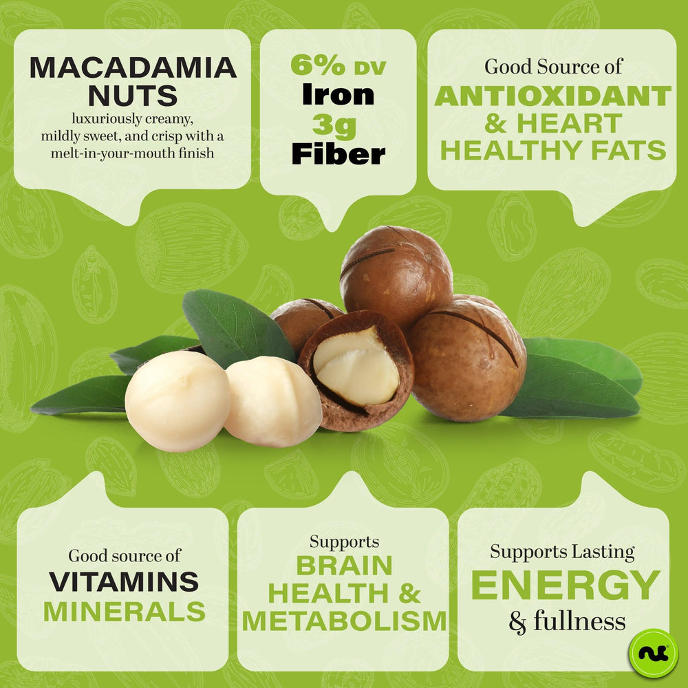 Nut Cravings close-up of shelled macadamia kernel highlighting creamy texture benefit