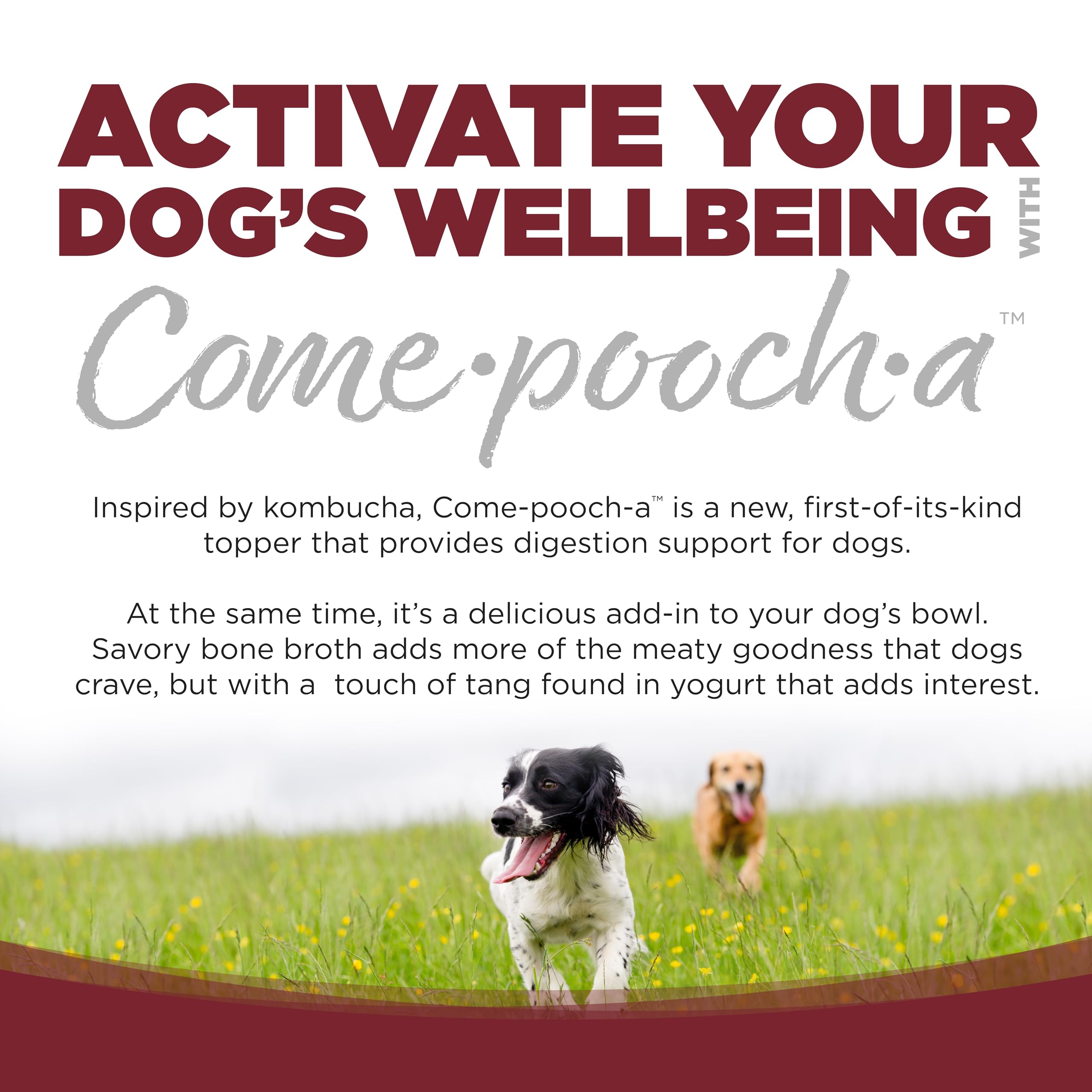 NutriSource pouring bone broth over kibble to increase palatability