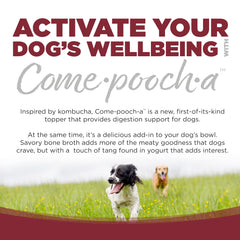 NutriSource pouring bone broth over kibble to increase palatability