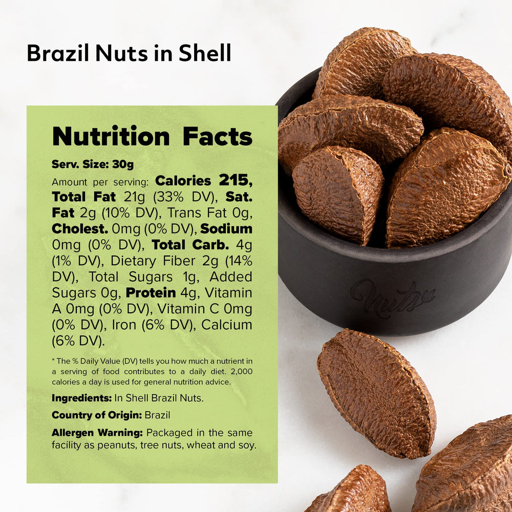 NUTS U.S. Brazil nuts in hand showing size and scale for portion control and serving