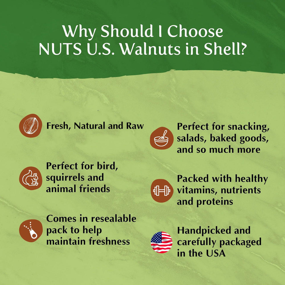 NUTS - U.S. walnuts next to ruler showing jumbo size and portion clarity