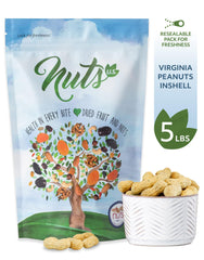NUTS U.S. closeup of peanut shell texture highlights freshness and natural quality