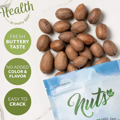 NUTS U.S. nutcracker breaking a pecan showing effortless access