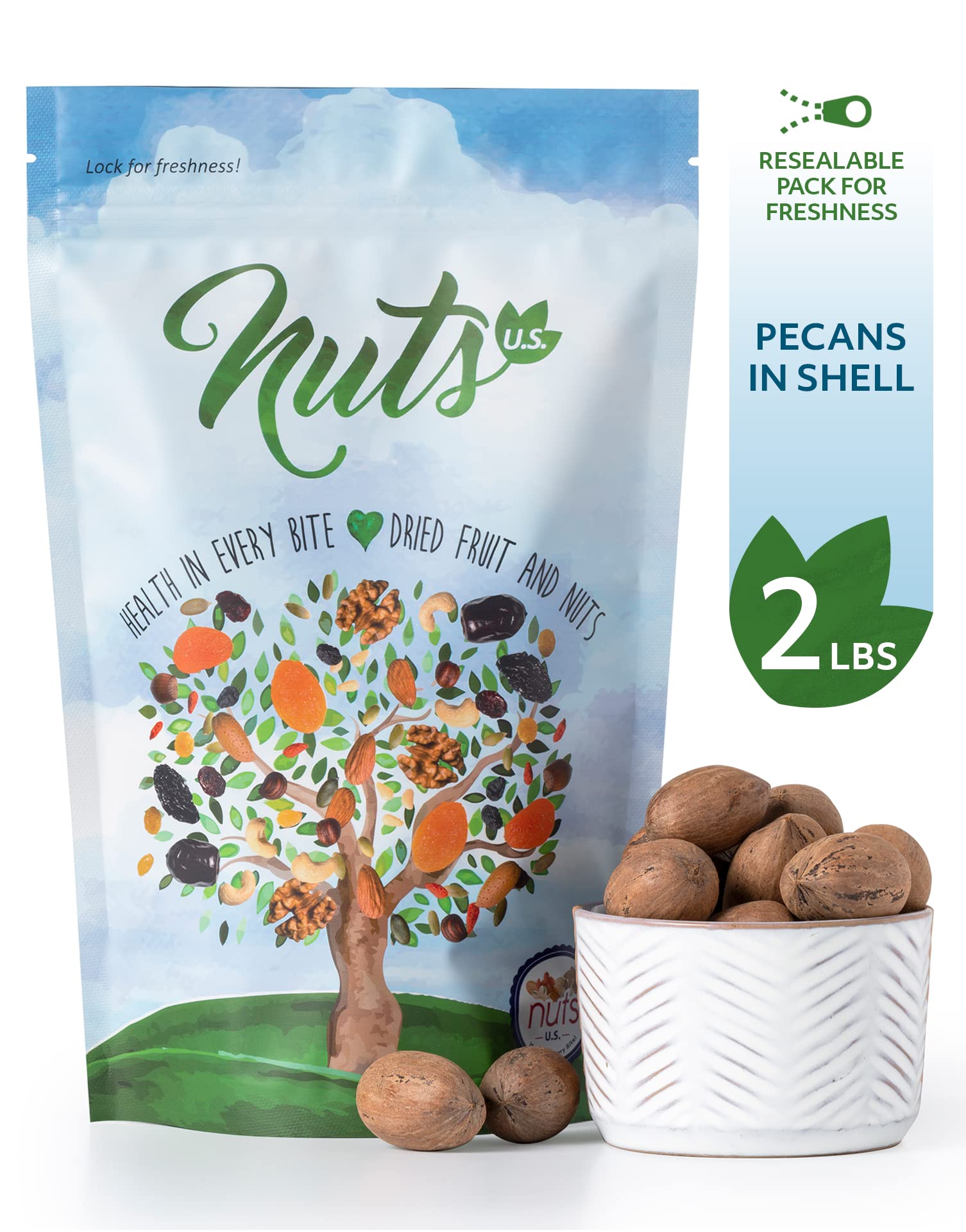 NUTS U.S. close-up of pecan shell texture highlighting natural freshness
