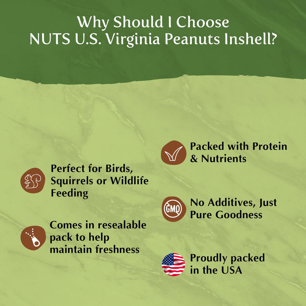 NUTS U.S. roasted peanuts in a bowl showing ready-to-eat flavor benefit