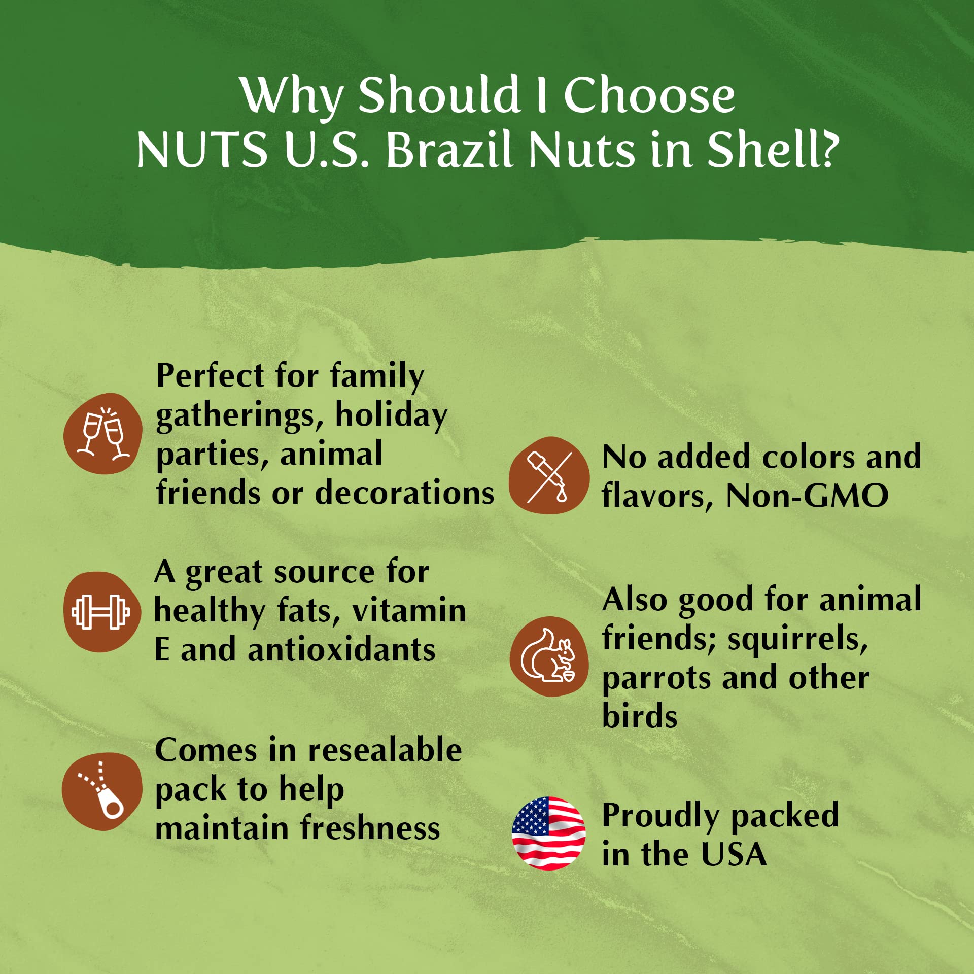 NUTS U.S. Brazil nuts used on salad and yogurt adding crunch and rich flavor