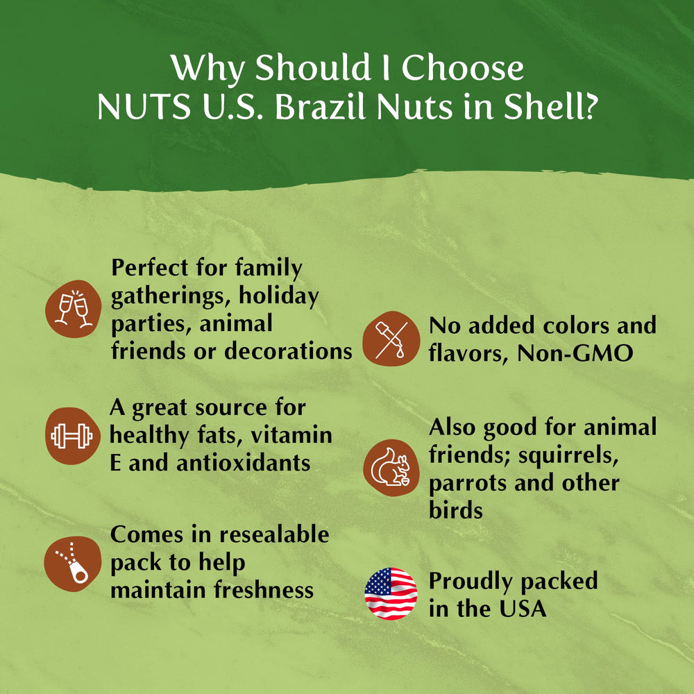 NUTS U.S. Brazil nuts used on salad and yogurt adding crunch and rich flavor