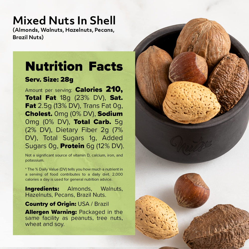 NUTS U.S. size comparison with hand to show generous 6 lb quantity