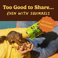 Nuts.com cracked nut kernel detail showing fresh interior and usable for recipes