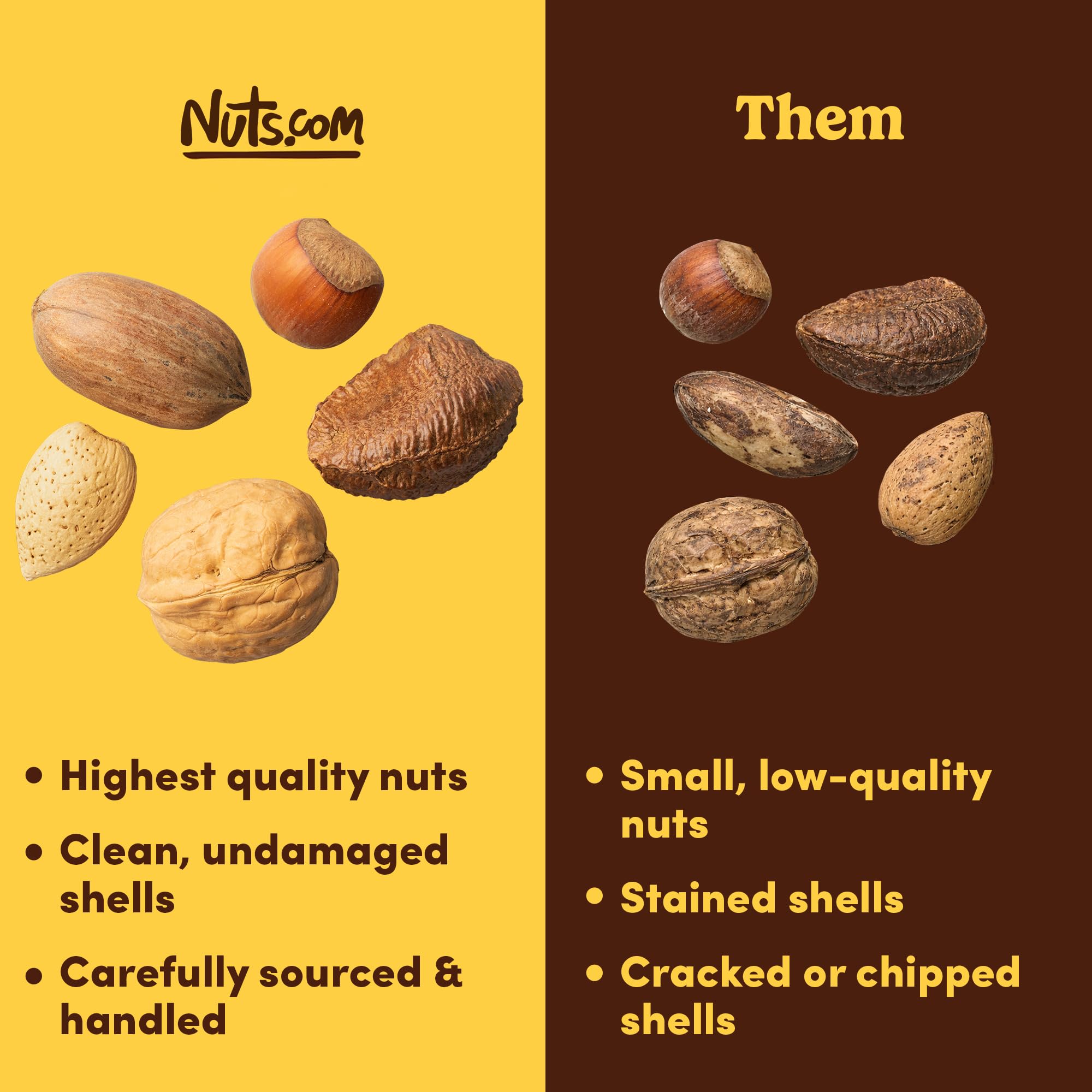 close-up of mixed nuts shells texture showing Nuts.com variety, highlighting freshness and natural protection