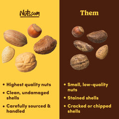close-up of mixed nuts shells texture showing Nuts.com variety, highlighting freshness and natural protection