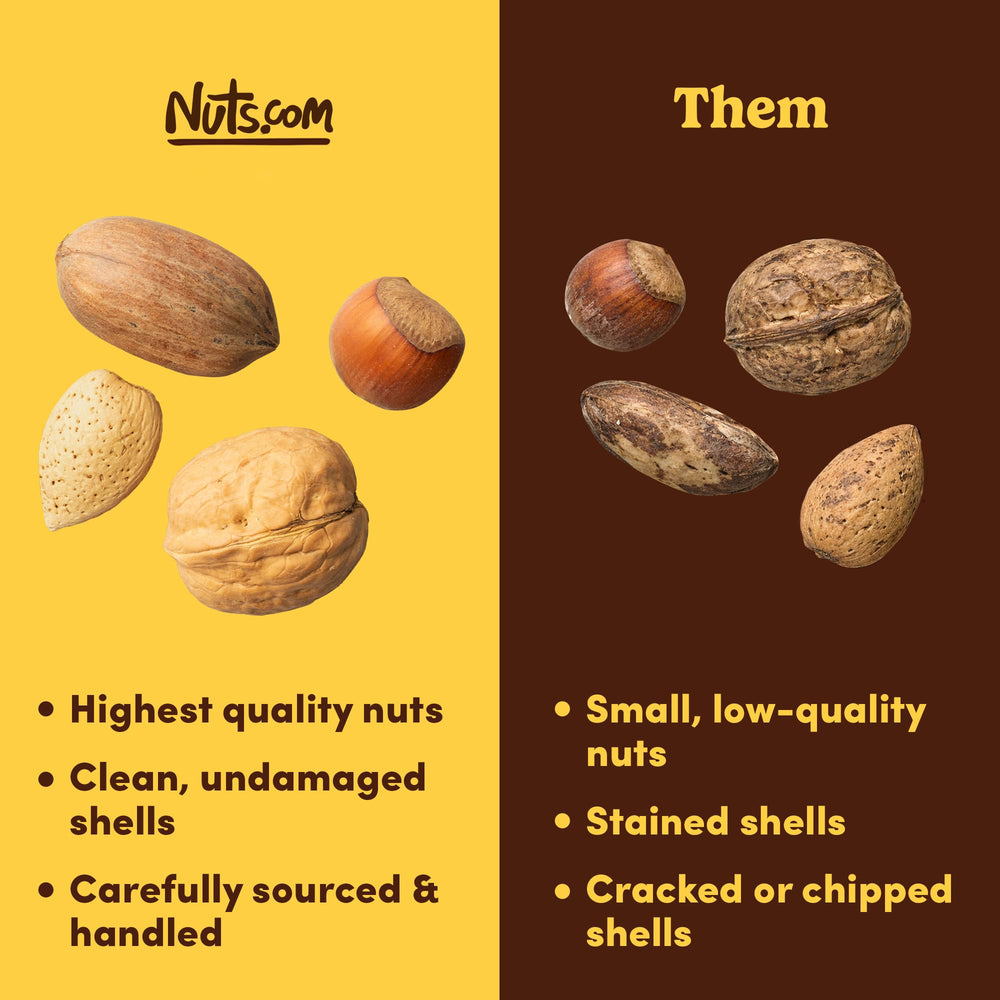 Nuts.com close-up of walnut, hazelnut, pecan, almond shells, highlighting texture
