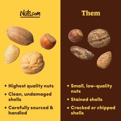 Nuts.com close-up of walnut, hazelnut, pecan, almond shells, highlighting texture