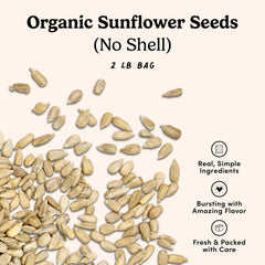 Close-up texture of Nuts.com sunflower seeds highlighting natural crunch and freshness