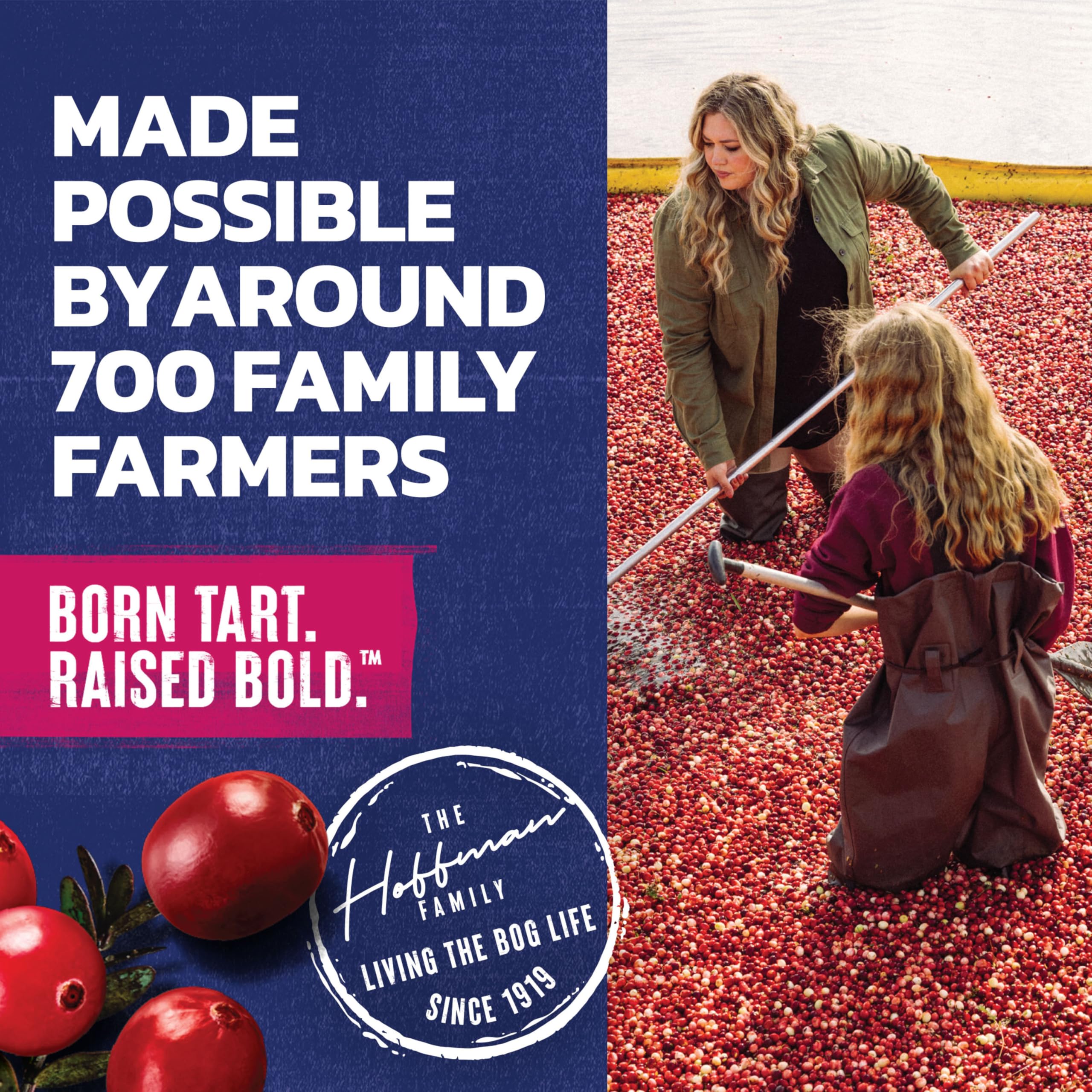 Ocean Spray frozen pops made from Cran-Watermelon, family-friendly treat