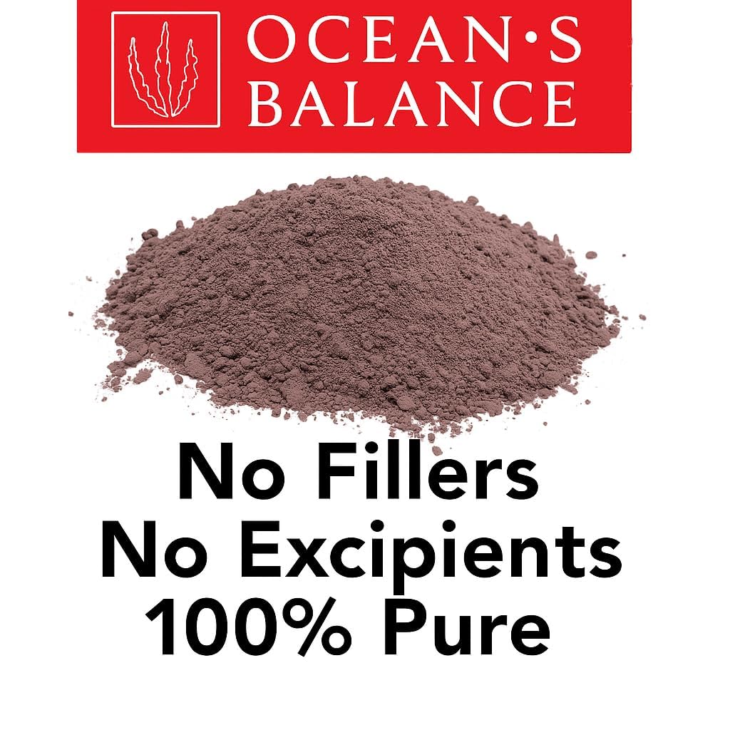 Close-up texture of Ocean's Balance dulse powder highlighting fine grind and color