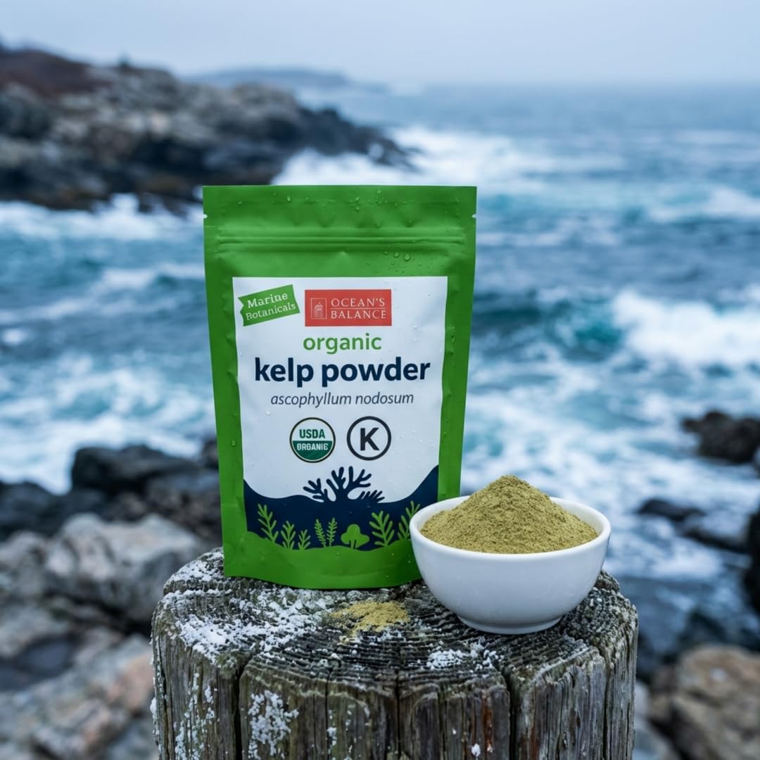 Ocean's Balance size comparison with 16 oz pack to show pantry-friendly quantity