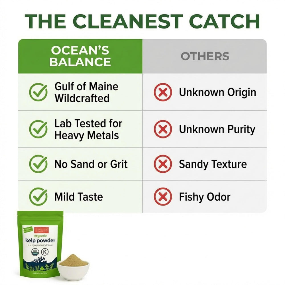 Ocean's Balance blended into a green smoothie offering mineral boost and flavor