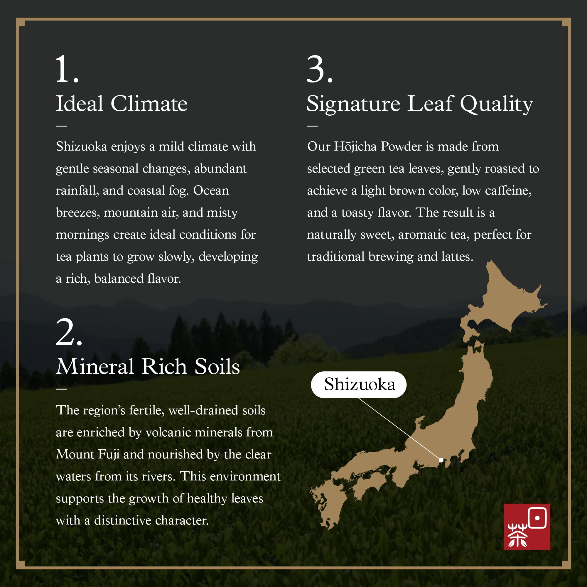 Ocha & Co. iced hojicha latte with ice cubes showing refreshing chilled serving benefit