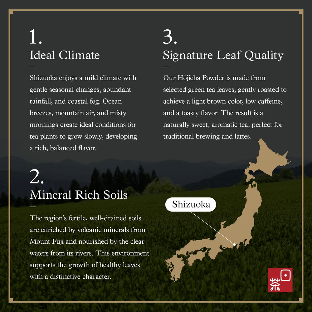 Ocha & Co. iced hojicha latte with ice cubes showing refreshing chilled serving benefit