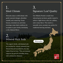Ocha & Co. iced hojicha latte with ice cubes showing refreshing chilled serving benefit