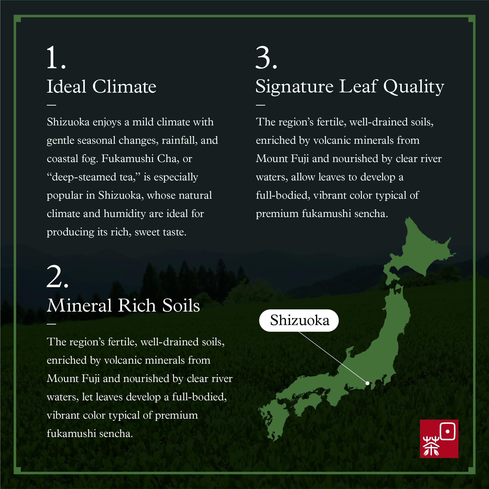 Ocha & Co. tea leaves in hand demonstrating finer particles and freshness