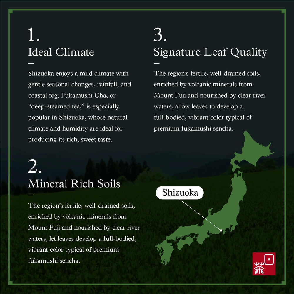 Ocha & Co. tea leaves in hand demonstrating finer particles and freshness
