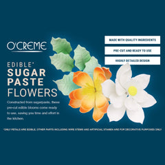 O'Creme roses displayed with ruler showing three included sizes for planning
