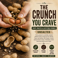 Office Roast shelled peanuts close detail showing protein-packed kernels