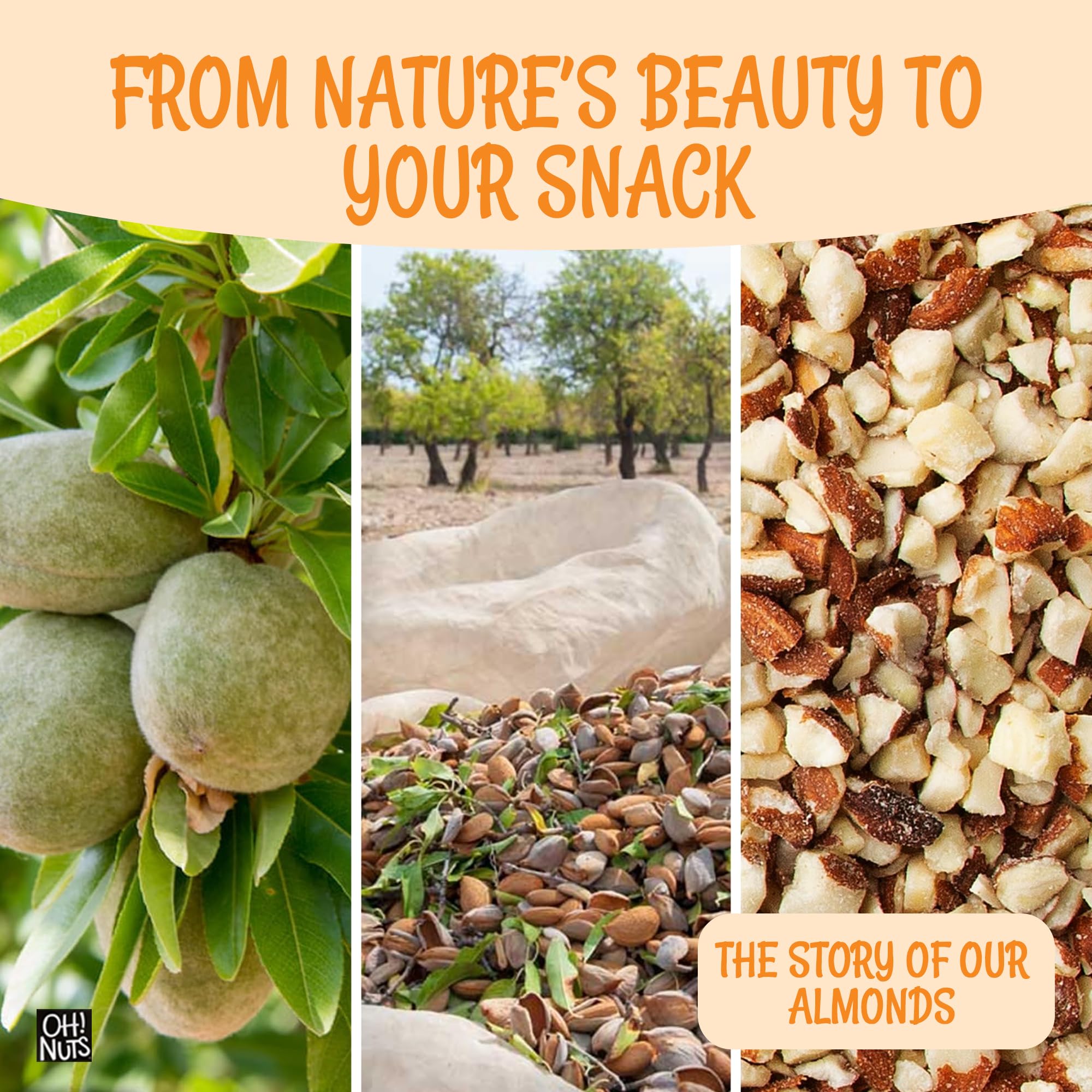 Oh! Nuts resealable zipper on bag preserving freshness between uses
