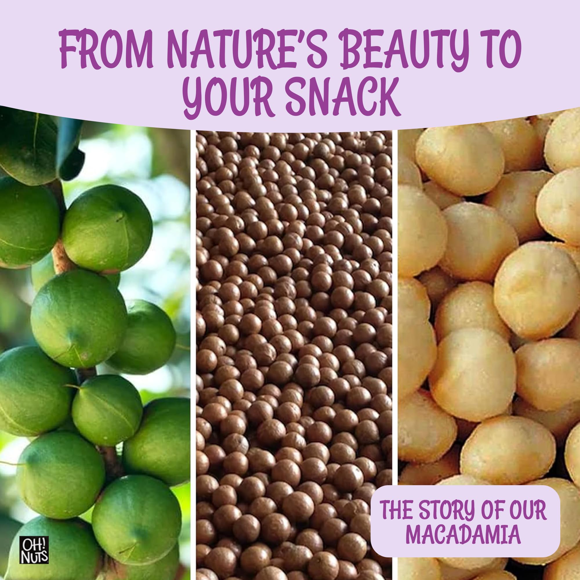 Oh! Nuts macadamias with baking ingredients showing recipe versatility