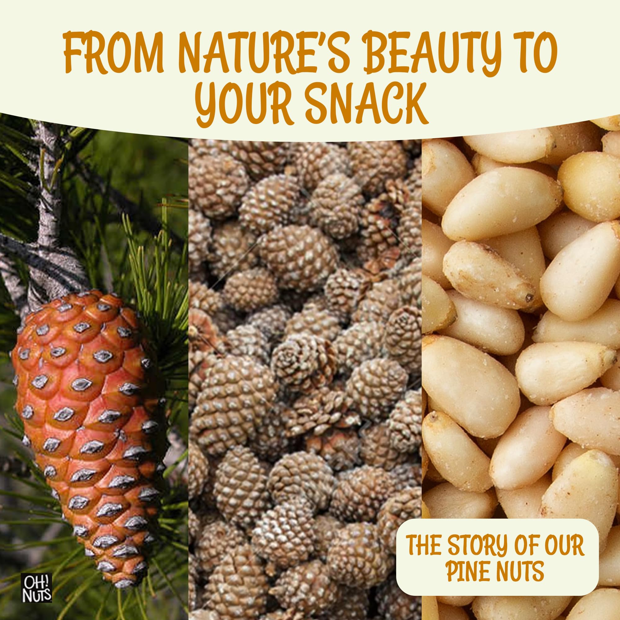 Oh! Nuts pine nuts beside an ounce scale showing the 8oz portion size