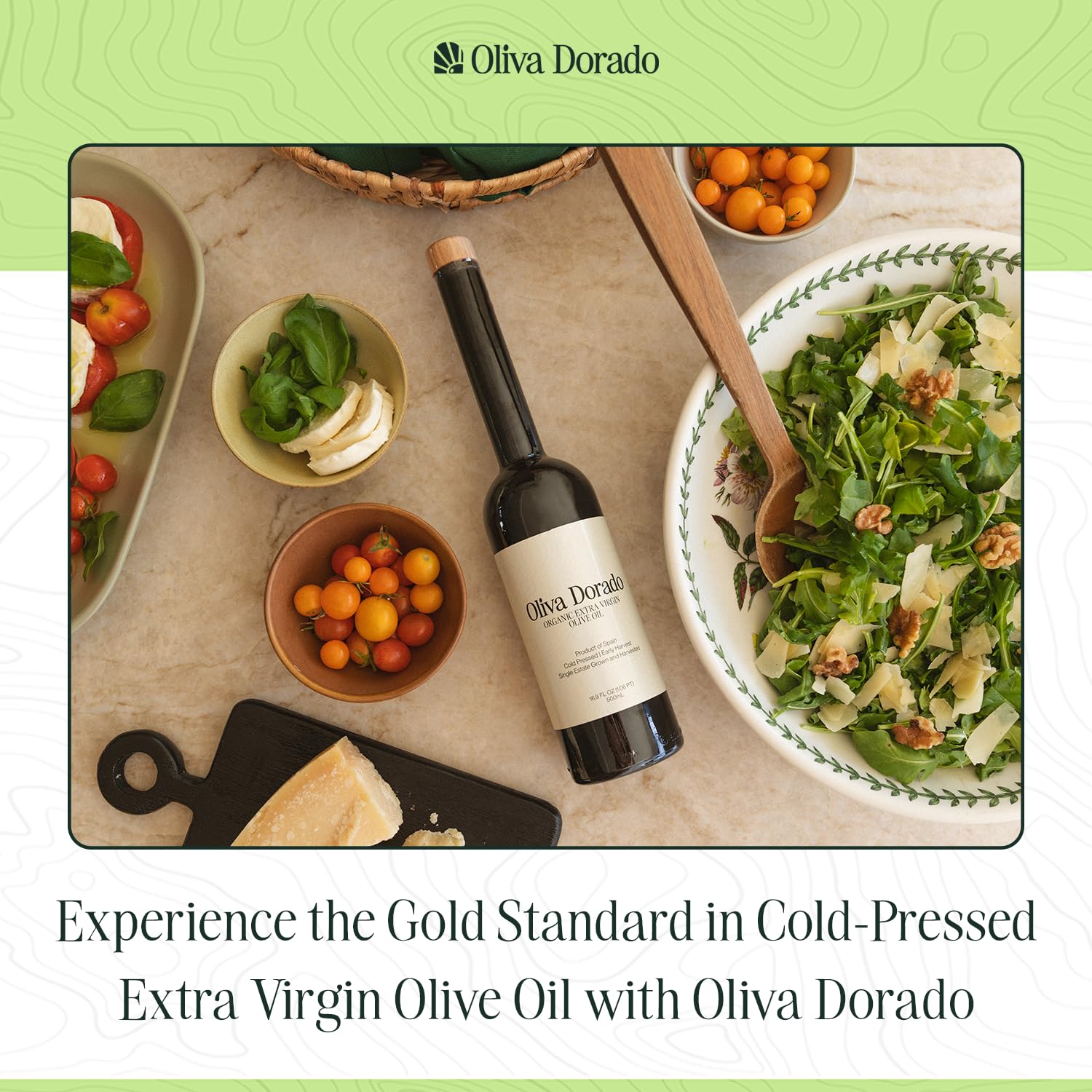 Oliva Dorado family estate olive grove in Northern Spain showing traceable origin