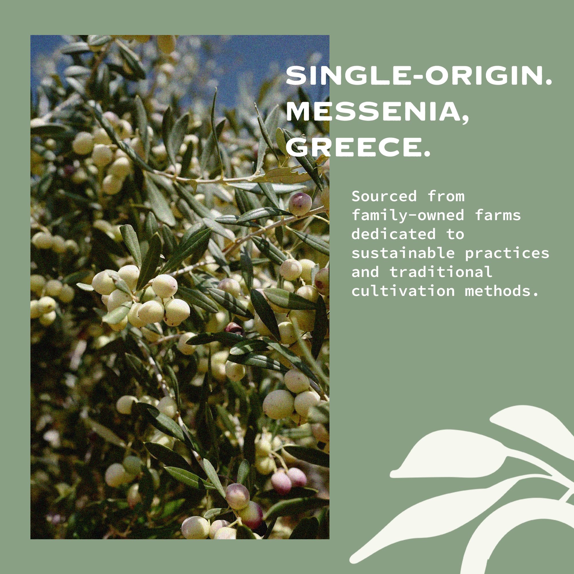 OLIVEA batch lab analysis label showing verified 1000+ mg/kg polyphenols