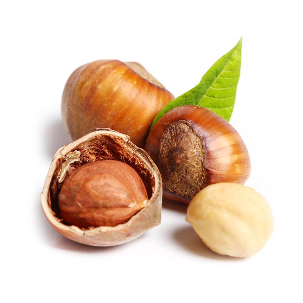 OliveNation hazelnut extract close-up of bottle neck and liquid color for quality