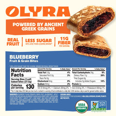 Olyra close-up texture of blueberry bar showing soft-baked moisture