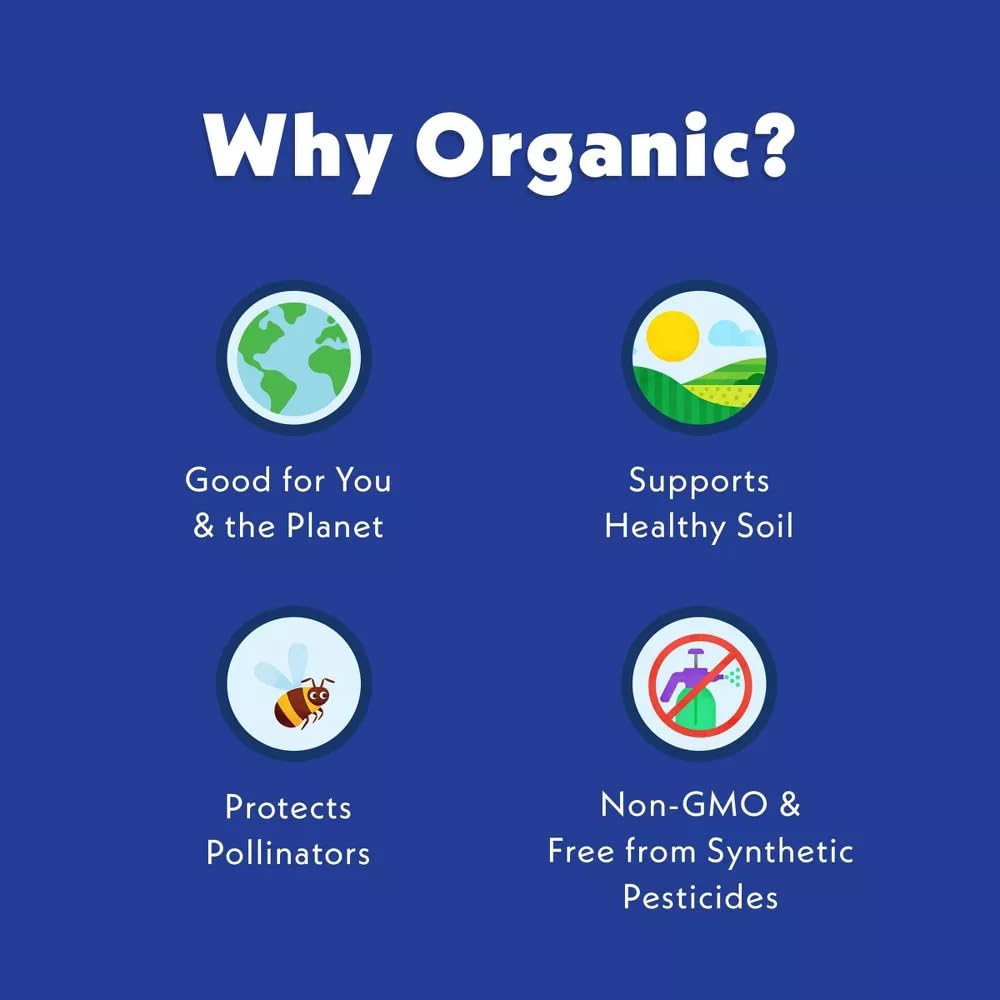 Organic oats fruit and vegetable ingredients displayed to show natural sourcing benefits