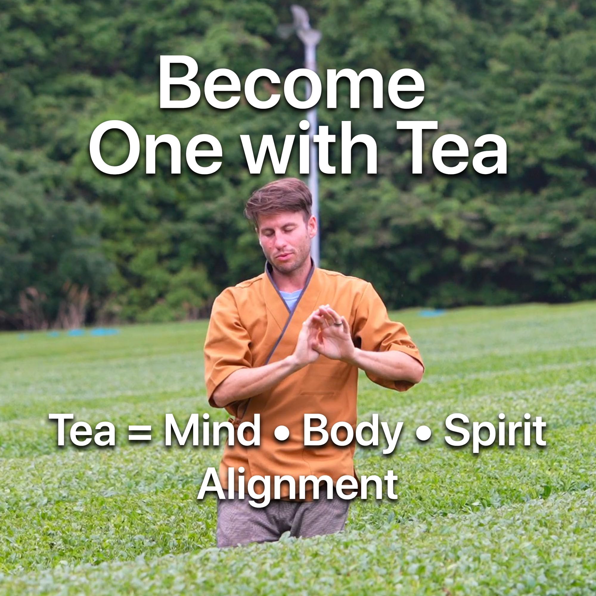 One With Tea sencha leaves next to teaspoon showing portion guidance