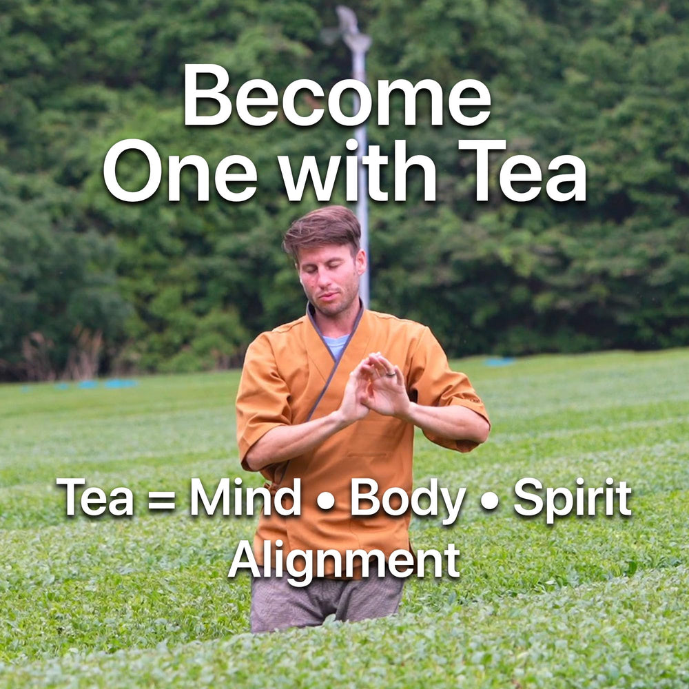 One With Tea sencha leaves next to teaspoon showing portion guidance