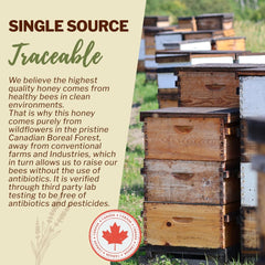 OneRoot honey spread on toast demonstrating easy spreading and taste benefit