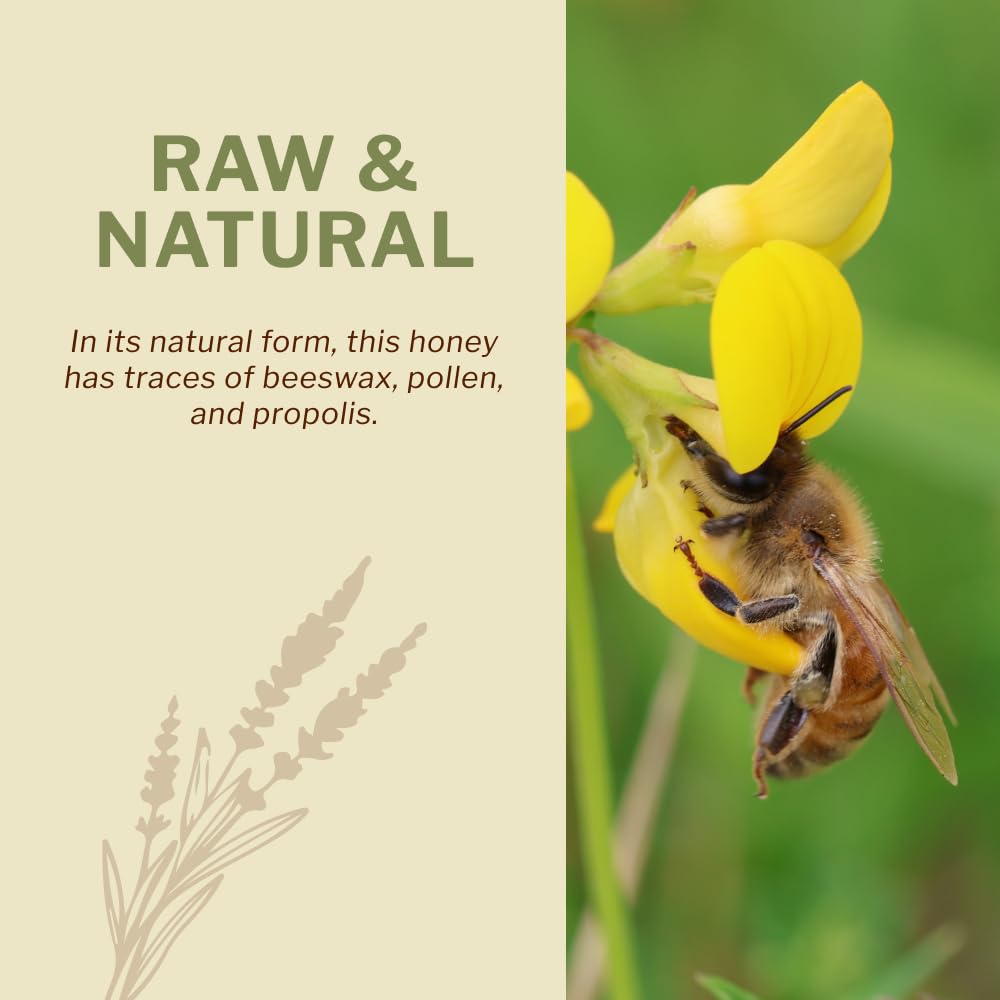 OneRoot wildflower meadow source image showing natural nectar origin benefit