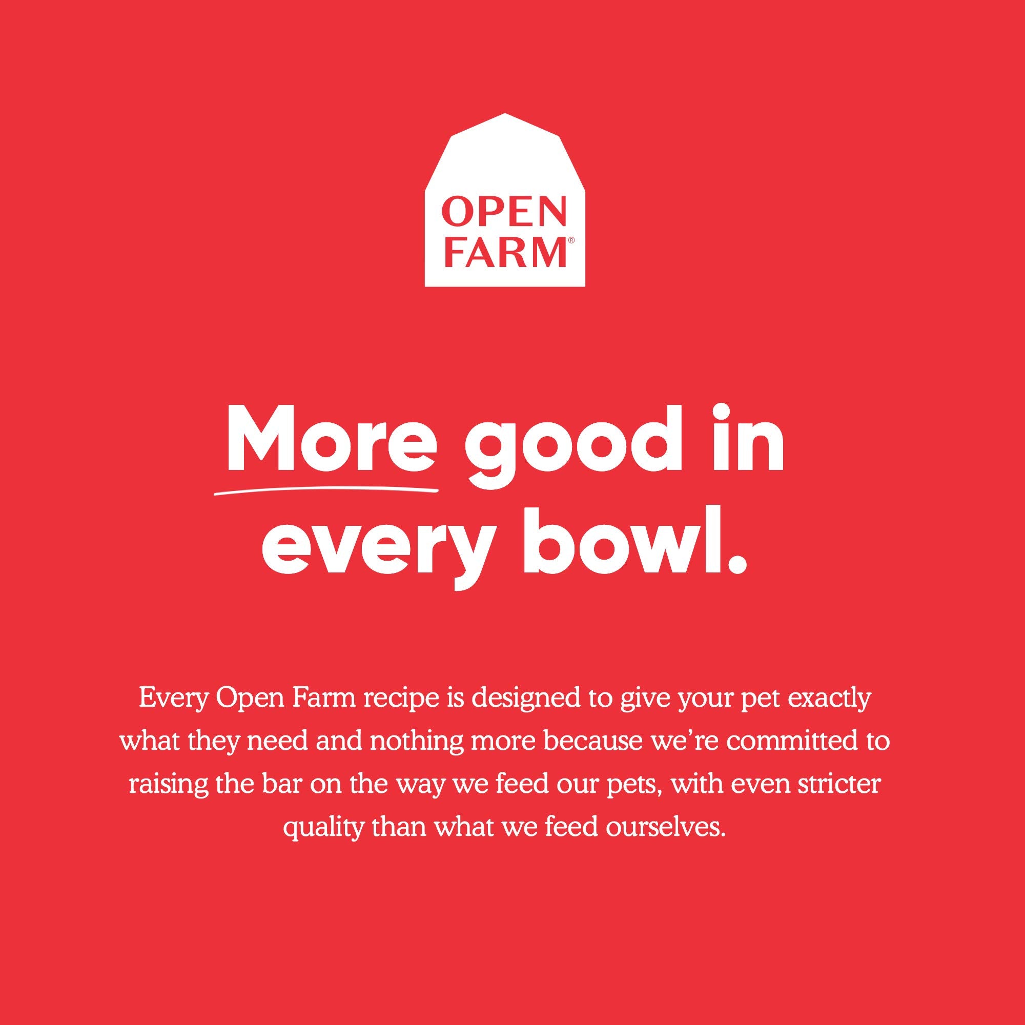Open Farm pouring broth over cat bowl to boost hydration
