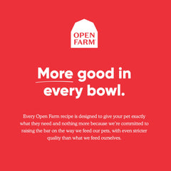 Open Farm pouring broth over cat bowl to boost hydration