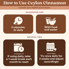 ORGANIC INDIA Ceylon cinnamon powder texture from organic bark showing pure ingredient quality