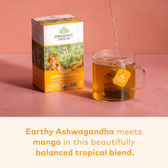 ORGANIC INDIA single infusion bag ready for steeping indicating convenience